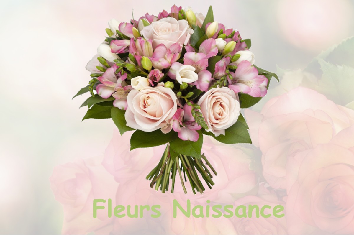 fleurs naissance LA-BOSSE-DE-BRETAGNE