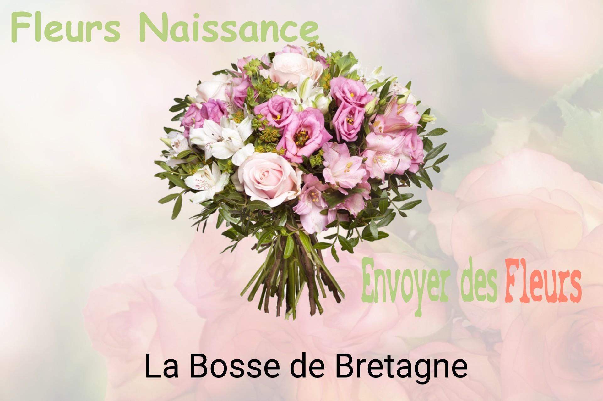 Bouquet de fleurs de naissance livré à La Bosse-de-Bretagne